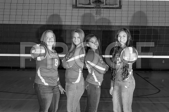 1DSC_0483bw