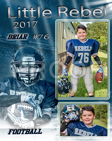 Briar