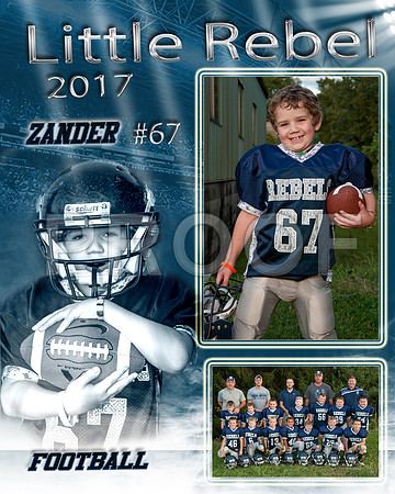 Zander